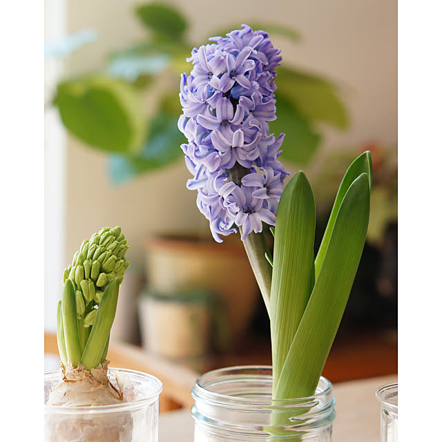 noriflowerさんの部屋