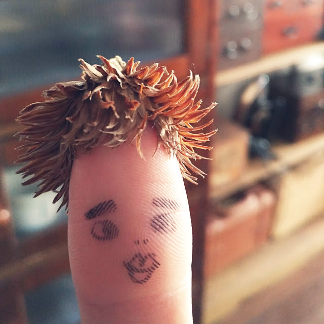 budoupanさんの実例写真