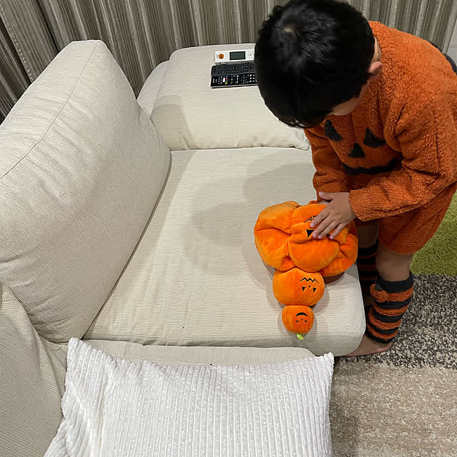 tripcameraさんの実例写真