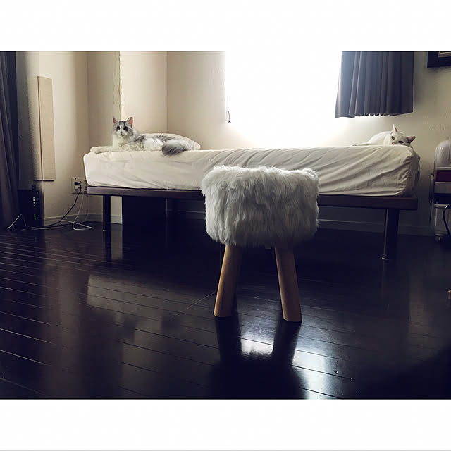 ymk999さんの実例写真