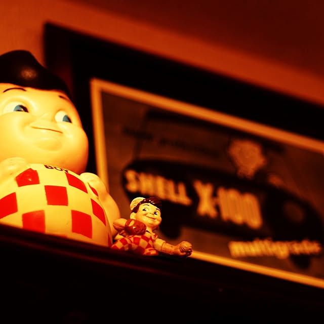 punkalotさんの実例写真