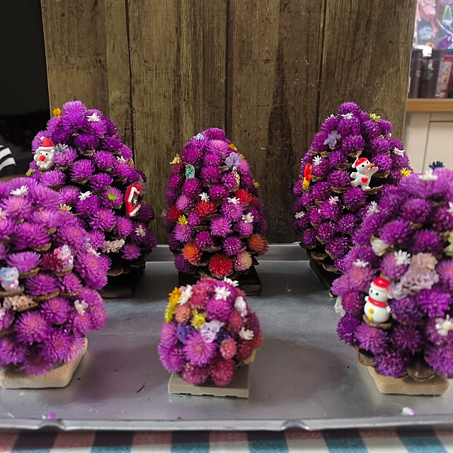 satochamさんの部屋