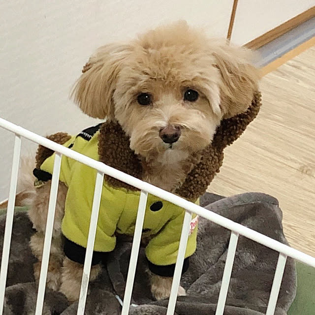 ka.na.mamaさんの実例写真
