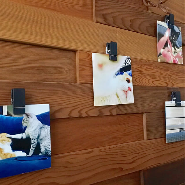 pepperさんの実例写真