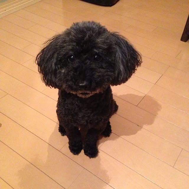 SADAさんの実例写真