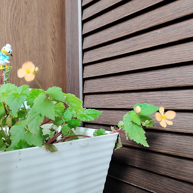 kiraさんの部屋