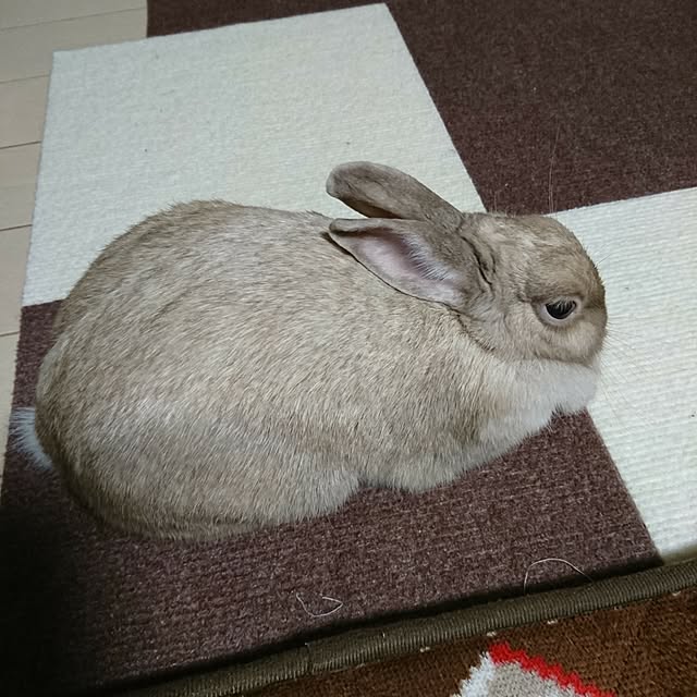 miru-neさんの実例写真