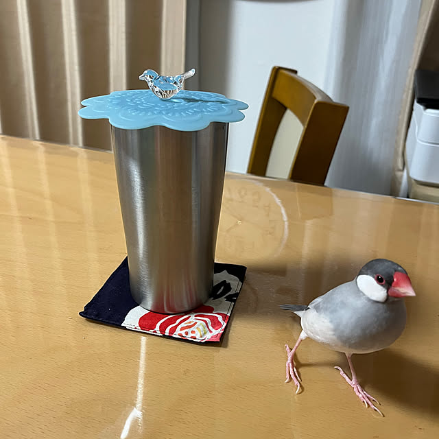 koitanさんの実例写真