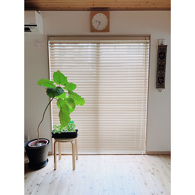emuさんの実例写真