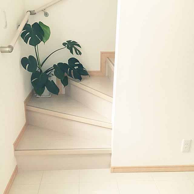 kumikceyさんの実例写真