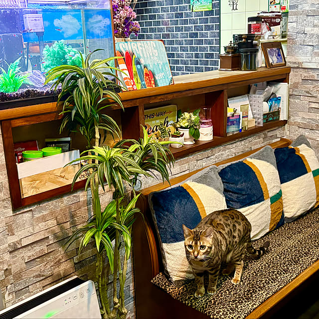 tututu0204さんの部屋