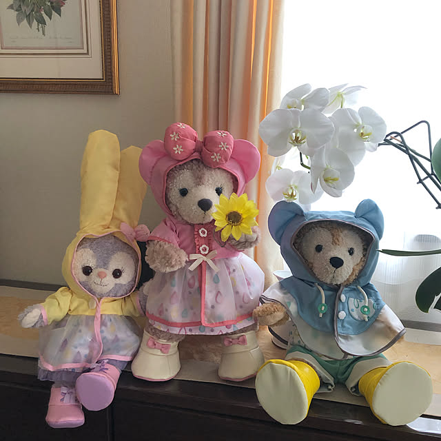 roserose555さんの実例写真