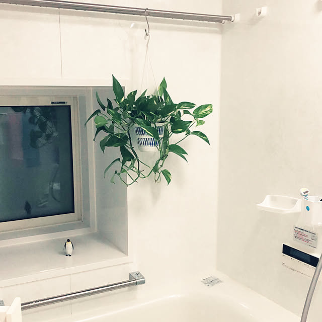yakkoさんの部屋