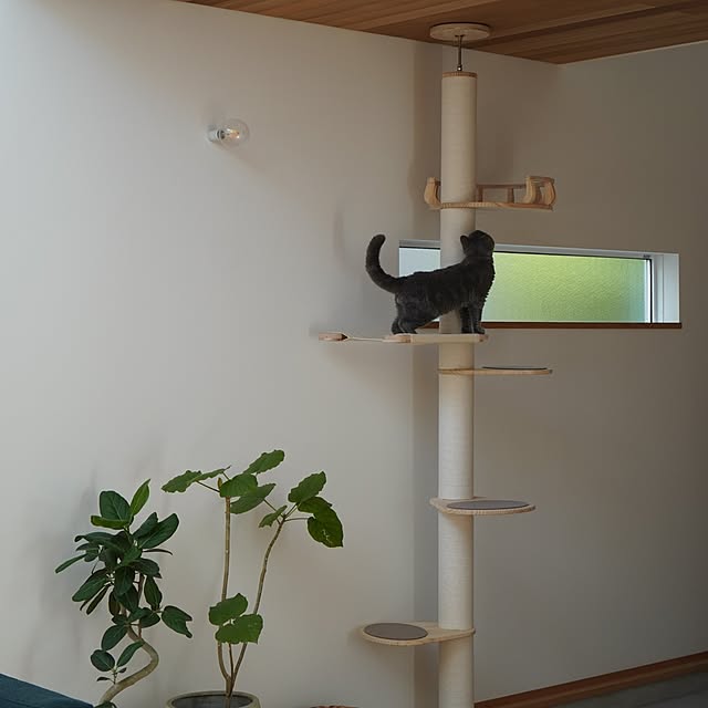 kumako.ieさんの実例写真