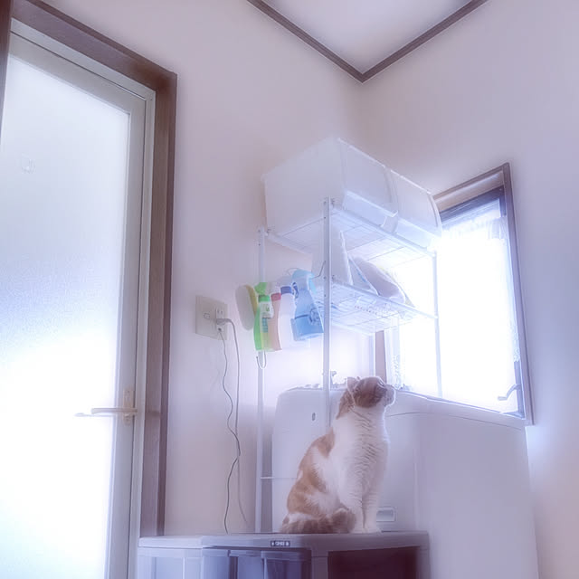 comafukuさんの実例写真