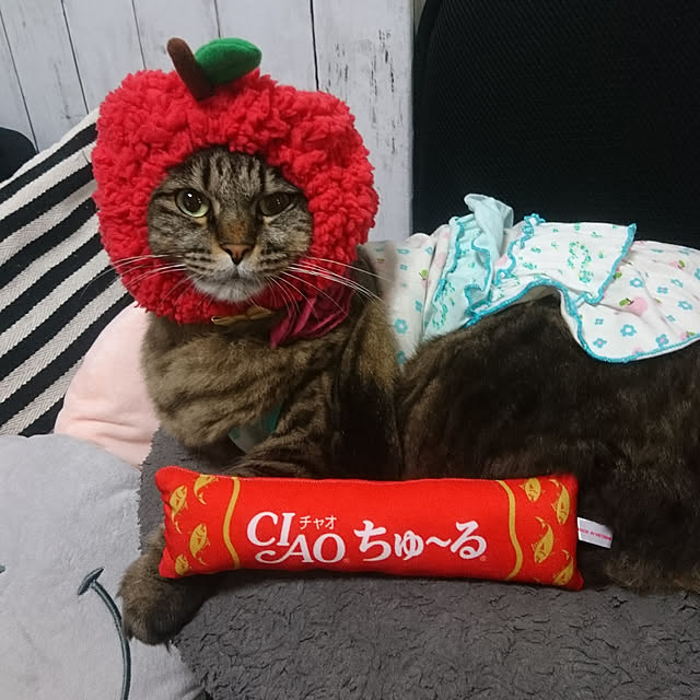 mayu.ariさんの実例写真