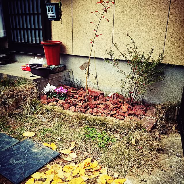 Ayakoさんの実例写真