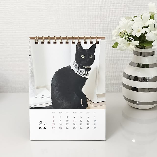 sakuraさんの部屋