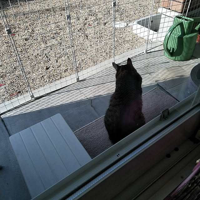 lilyさんの実例写真