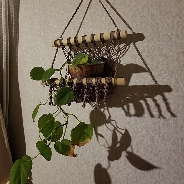 midoriさんの部屋