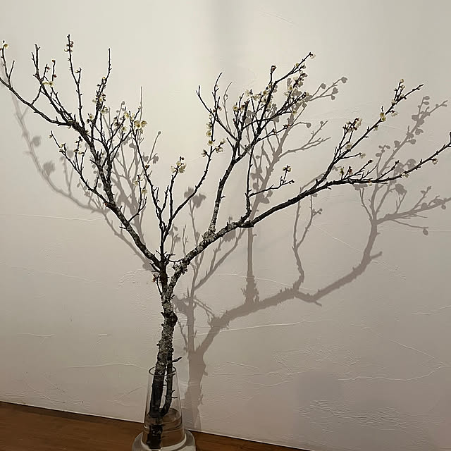 cariente4さんの部屋