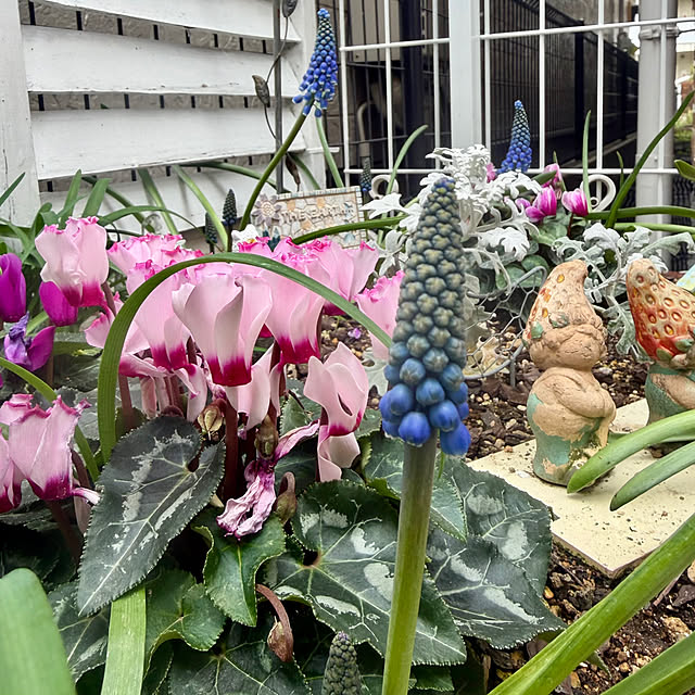 puriyuzuさんの実例写真