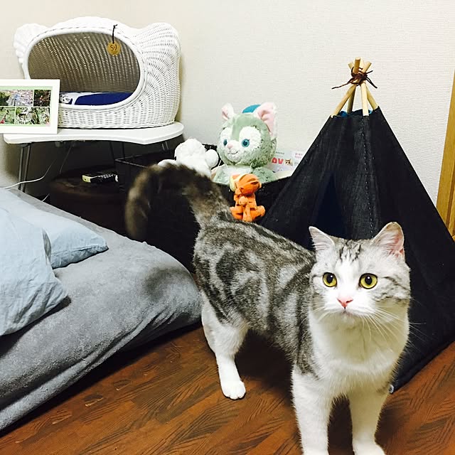 narashimhaさんの実例写真