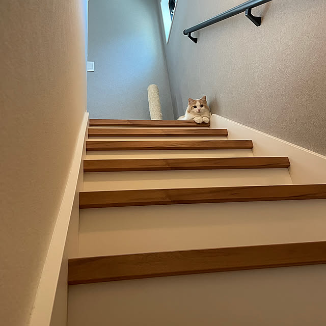lovecofさんの実例写真