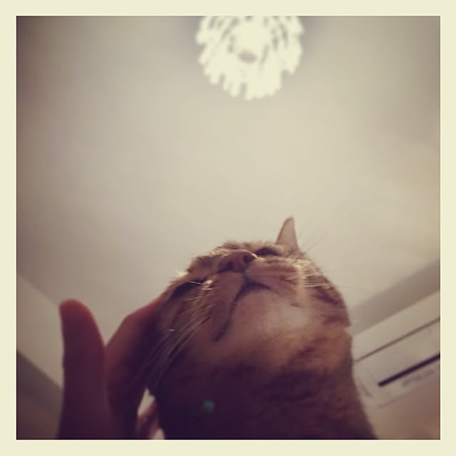 sさんの実例写真