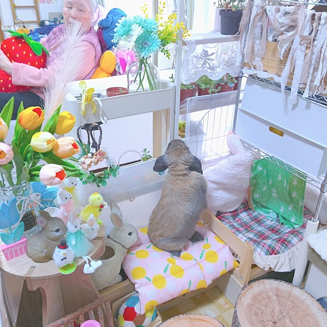 mariaさんの実例写真