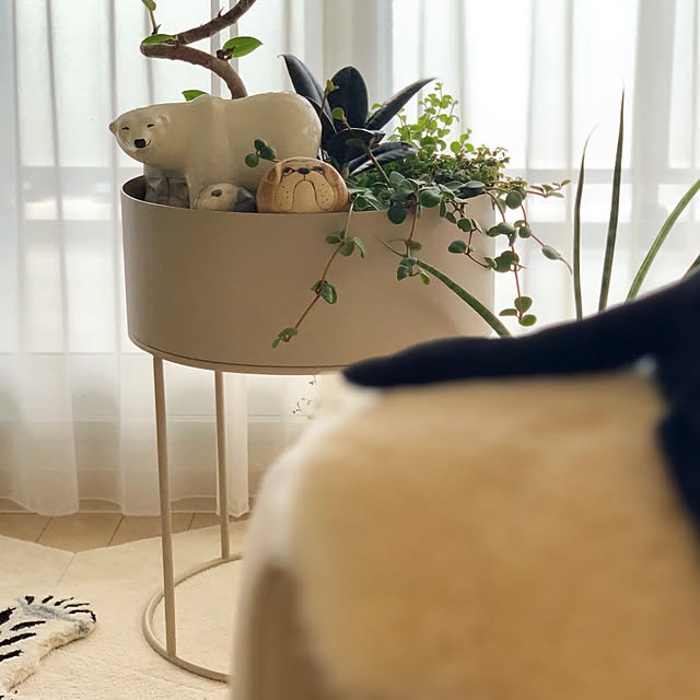 haruhinaさんの部屋