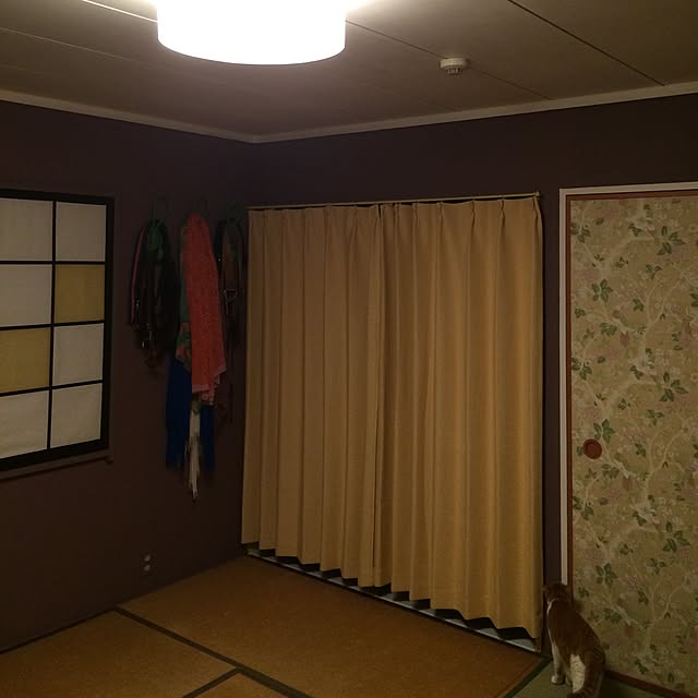 himenekoさんの実例写真