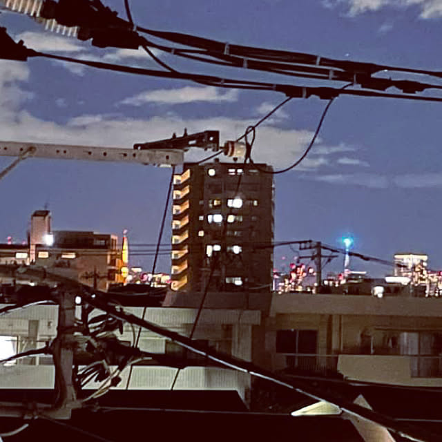 実例写真