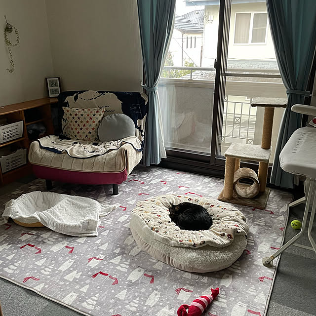 momocchiさんの実例写真