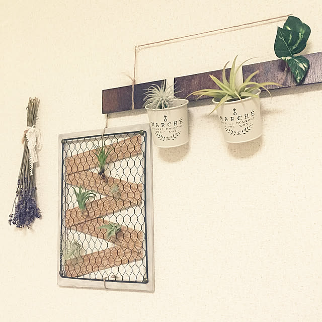 soraさんの実例写真