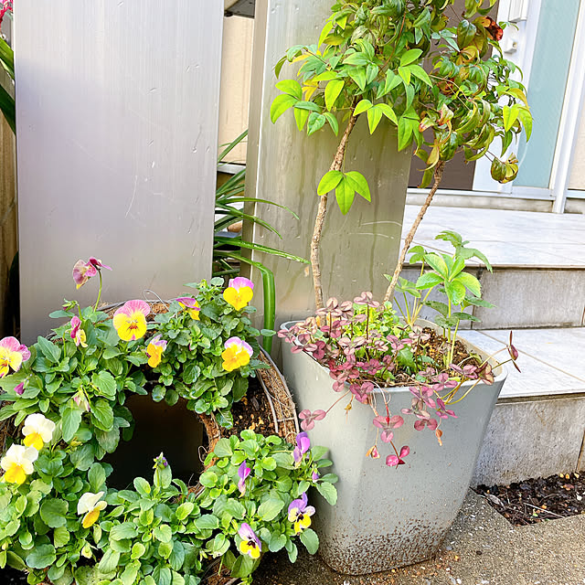 nahonさんの部屋