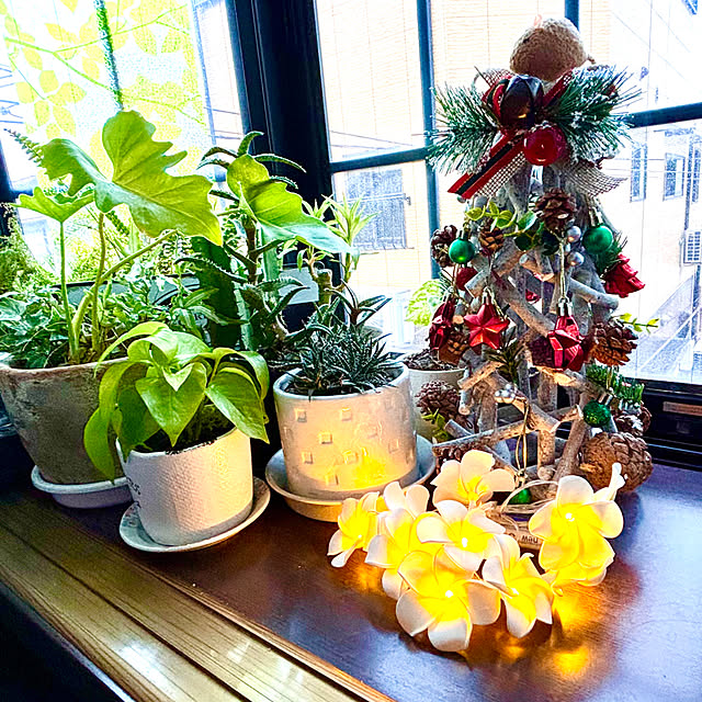 tututu0204さんの実例写真