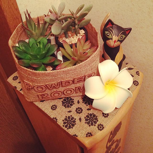 sachiさんの実例写真