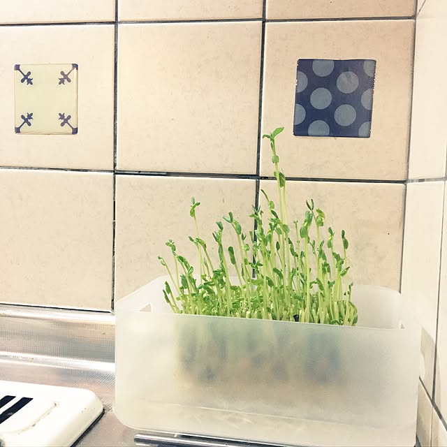 ohanaさんの実例写真