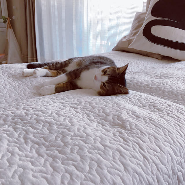 nekomiさんの部屋