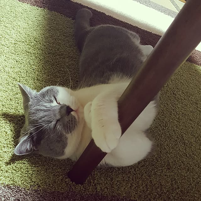 rhuさんの実例写真