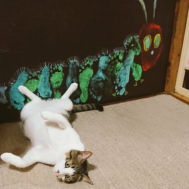 kikuさんの実例写真