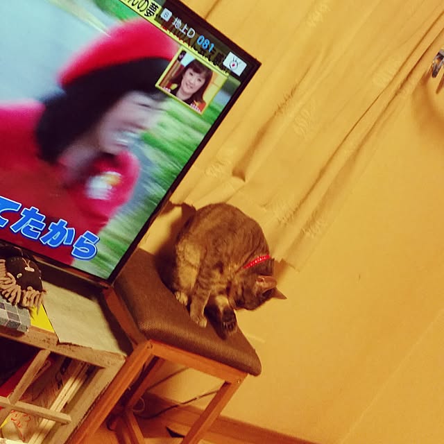 oyumiさんの実例写真