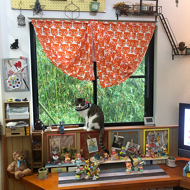 jijiさんの実例写真