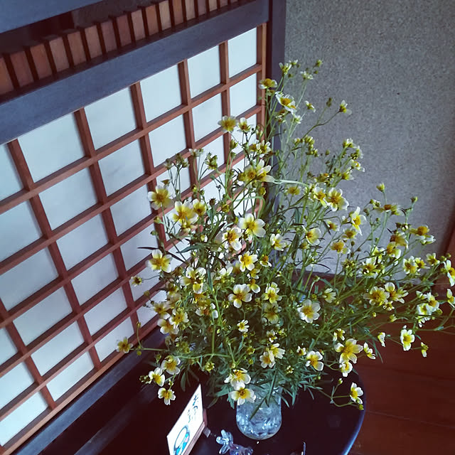 coco1204さんの実例写真