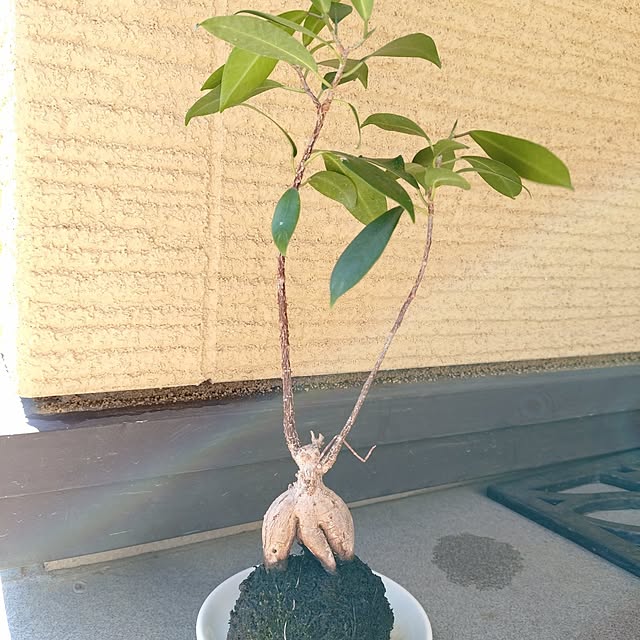 nagaseさんの実例写真