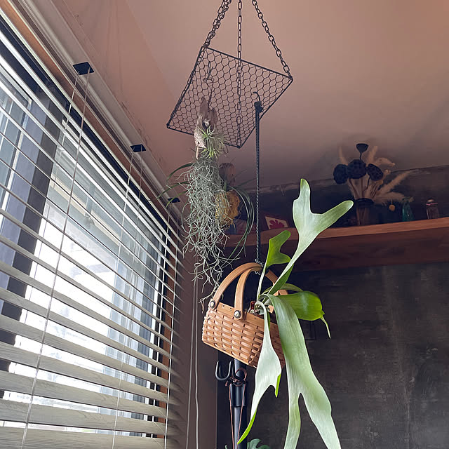 fgtomatoes0560さんの実例写真