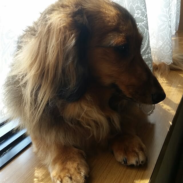 hitomiさんの実例写真