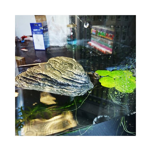 yuiticさんの実例写真
