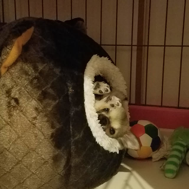 N+さんの実例写真